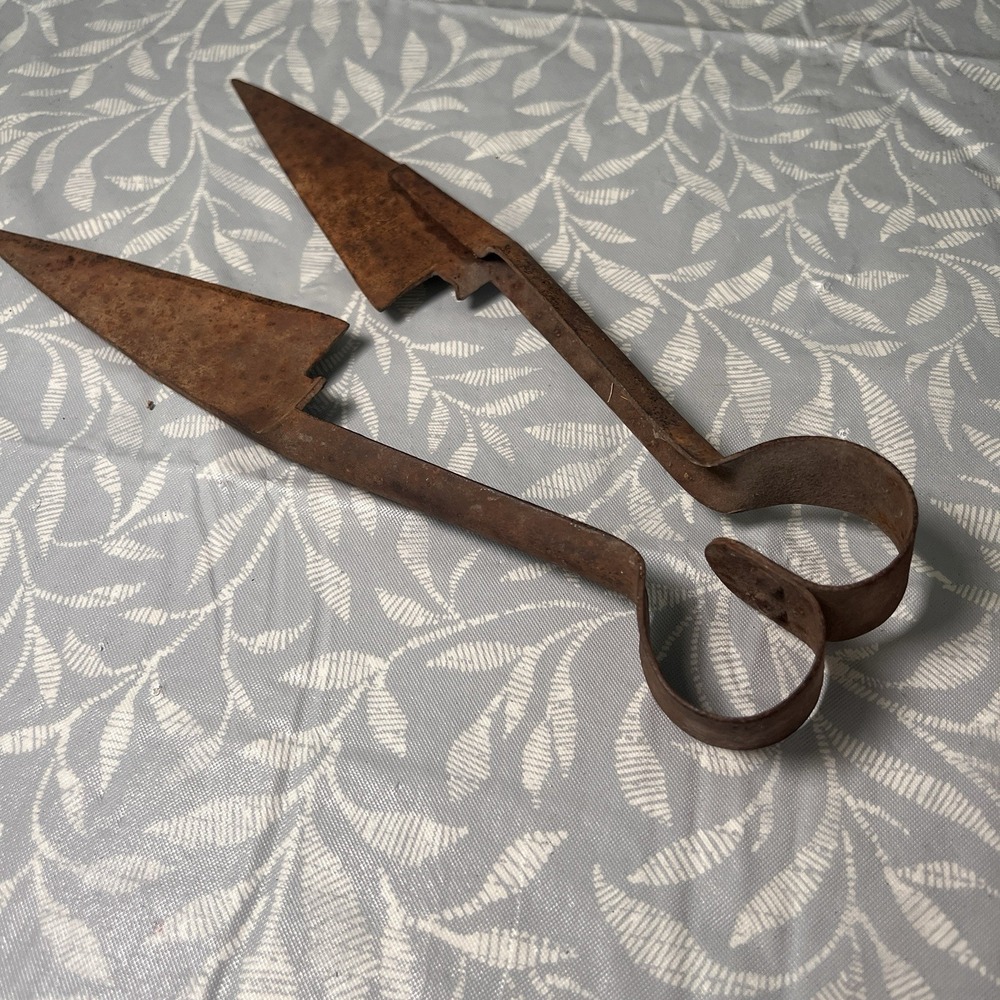Antique / Vintage Sheep Shears, Very Good Condition, Nice Patina